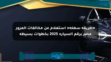 «طريقة سهلة» استعلام عن مخالفات المرور مصر برقم السيارة 2025 بخطوات بسيطة